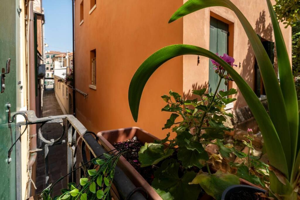 Ca' Mandorla 027042Loc09523 Apartment Veneţia Exterior foto
